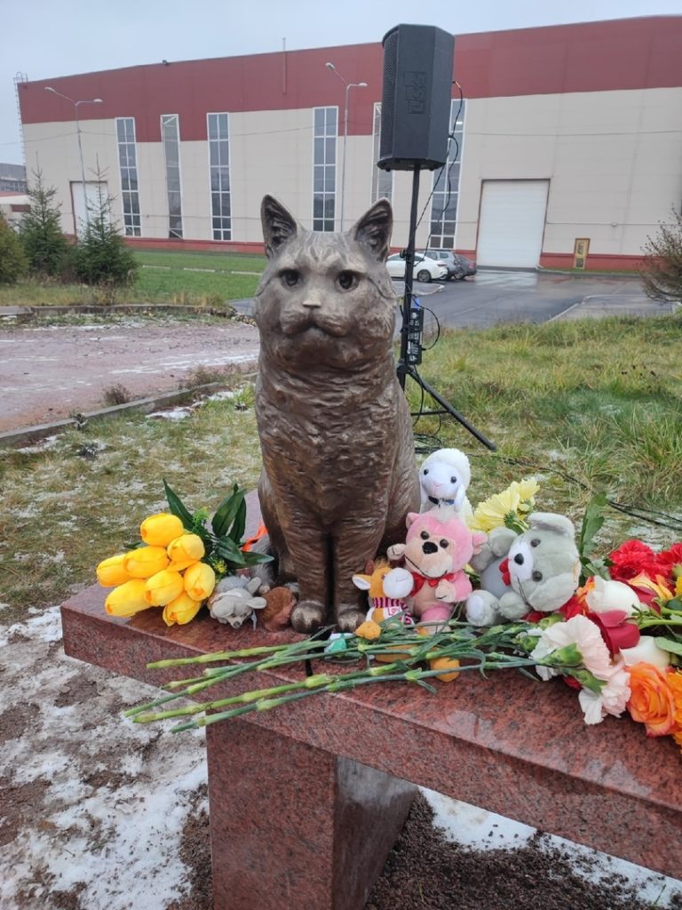А Барсика всё равно жалко CONalwhtVJI 768x1024 - А Барсика всё равно жалко