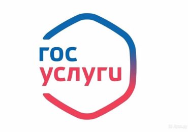 Заполнить электронное заявление на единое пособие можно с 28 декабря
